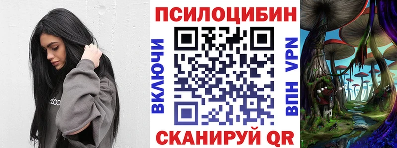 Купить закладки  Курчалой  Галлюциногенные грибы Psilocybe 