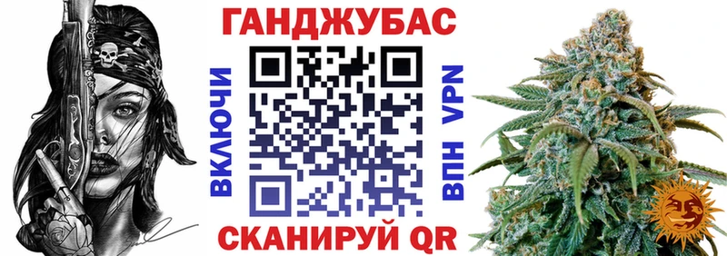 Бошки марихуана планчик  Купить где  Курчалой 